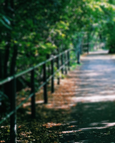 Nature Blur Garden Picsart Editing Background Full HD