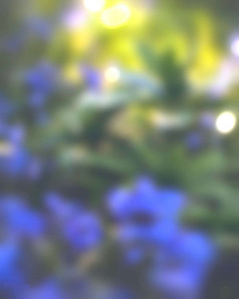 Nature Blur Picsart CB Editing HD Background New