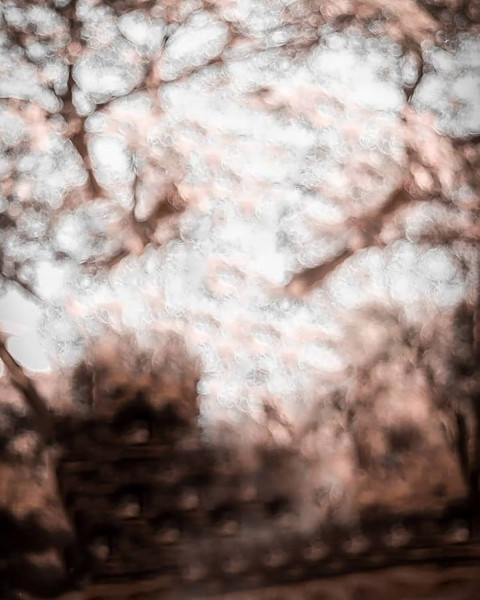 Nature CB Background Download For Picsart Editing