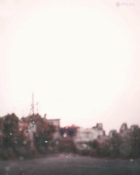 Nature Cb Background Hd For Picsart Editing