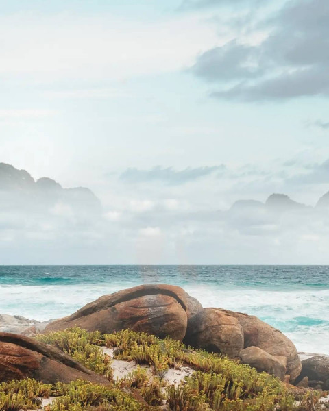 Nature CB Editing Background Download