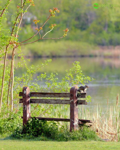Nature CB Editing Background Download Free