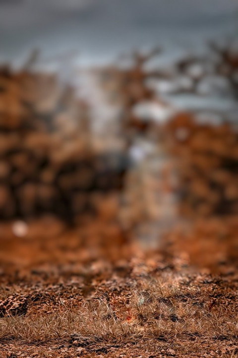 Nature CB Editing Background Full HD Download For Photoshop
