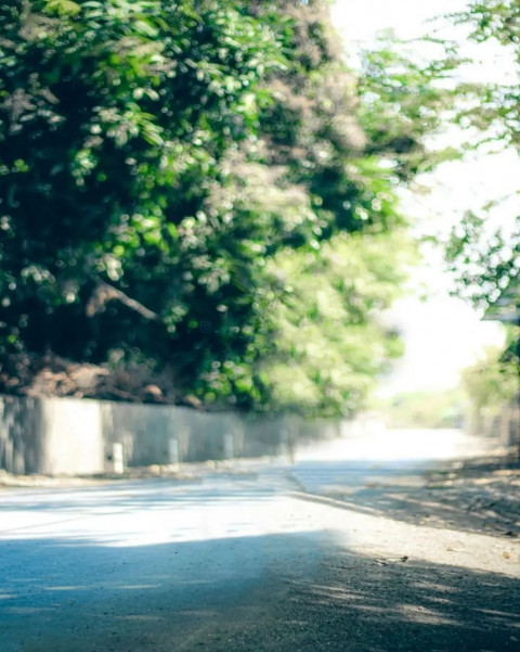 Nature CB Picsart Editing Background For Autodesk