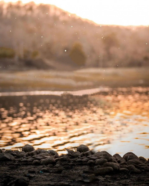 Nature CB Picsart Editing Background For Autodesk New