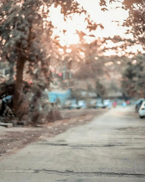 Nature CB Picsart Editing Background For Autodesk Pic