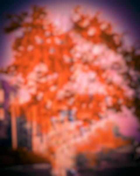 Nature CB Picsart Photo Editing Background Download