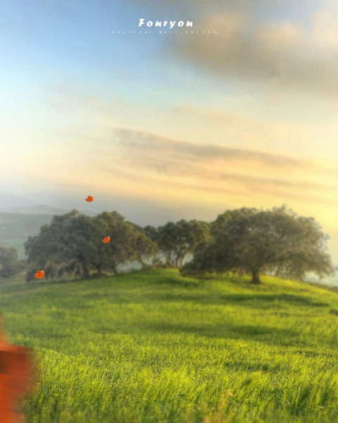 Nature CB Picsart Photo Editing Background Full HD