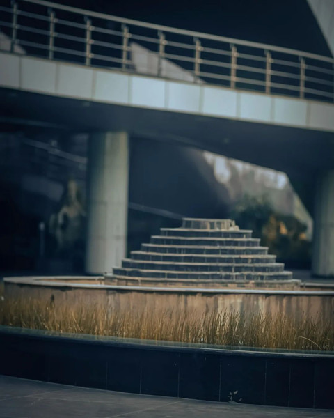 Nature Cool Dark Background Stock Free Editing CB Images