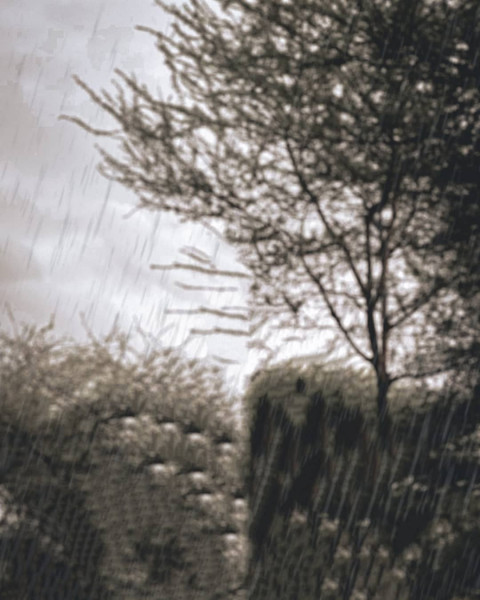 Nature Creative Photo Editing Background Full HD For Picsart & CB