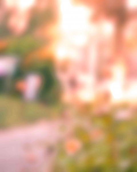 Nature Dslr Photo Editing Blur Background HD