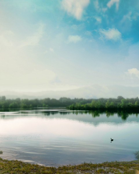Nature Editing Background HD Photoshop Picsart
