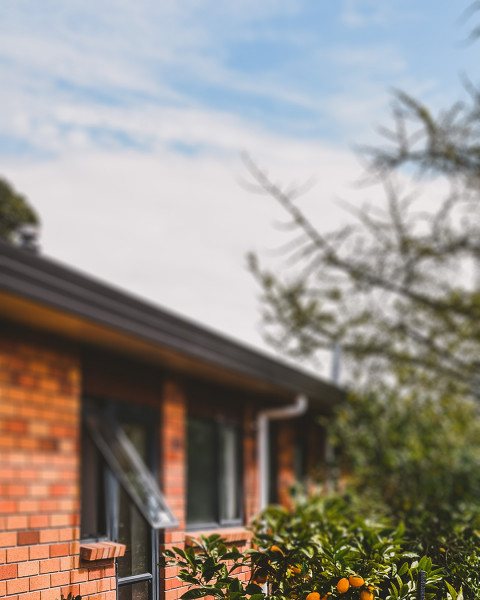 Nature Editing CB Picsart Background Download