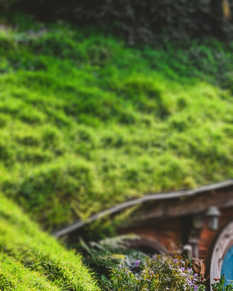 Nature Editing CB Picsart Background Download