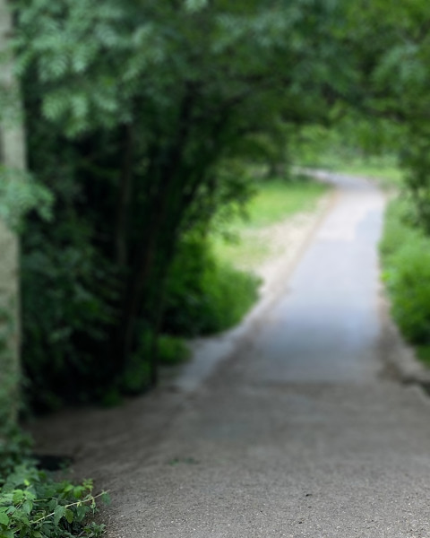 Nature Editing CB Picsart Background Download New