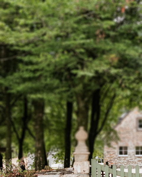 Nature Editing CB Picsart Background Download Pics