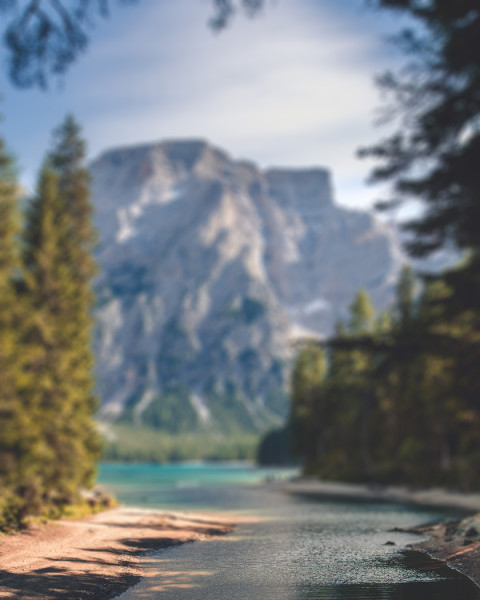 Nature Forest CB Picsart Editing Background Download Full HD