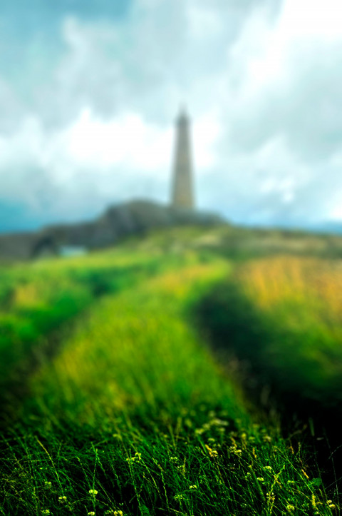 Nature Green Forest CB Picsart Editing Background HD