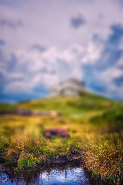 Nature Green Forest CB Picsart Editing Background HD New