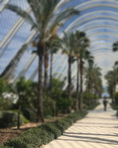 Nature Green Garden Photo Editing Background