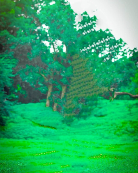 Nature Green Snapseed Background Free