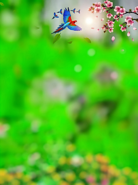 Nature HD Birds CB Editing New Background