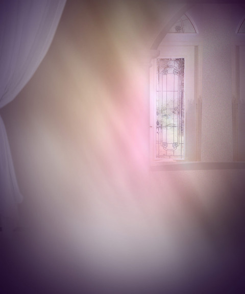 Nature Indoor Backdrop Wallpaper Download Free