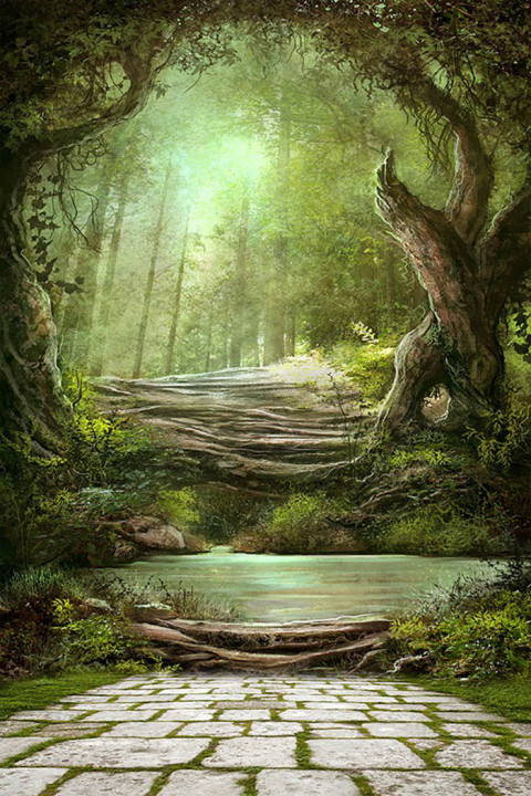 Nature Indoor Studio Background HD Download