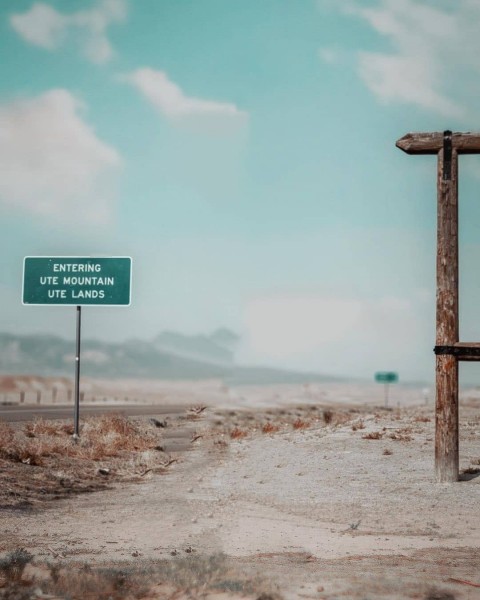 Nature Lightroom background For Editing