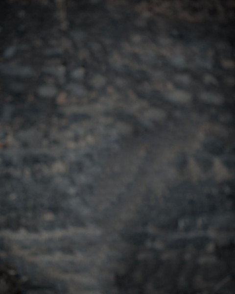 Nature NSB Picture Background Free Full HD