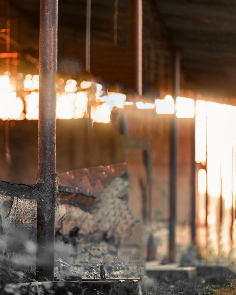 Nature NSB Picture Background Free Full HD