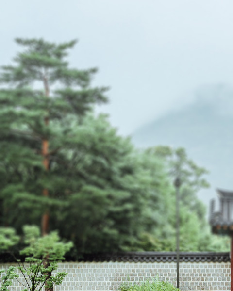 Nature Photo Editing Blur CB Picsart Background