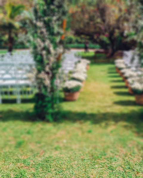 Nature Photo Editing Blur CB Picsart Background