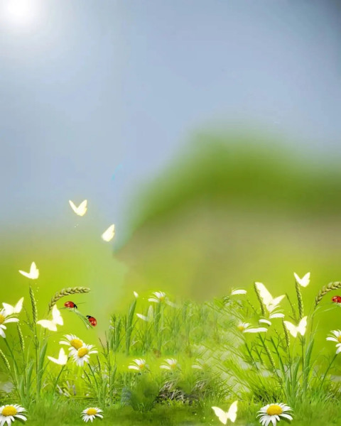 Nature Photo Editing New Background Download