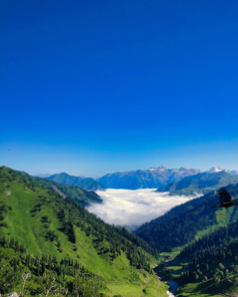 Nature Photoshop Editing Background Download HD