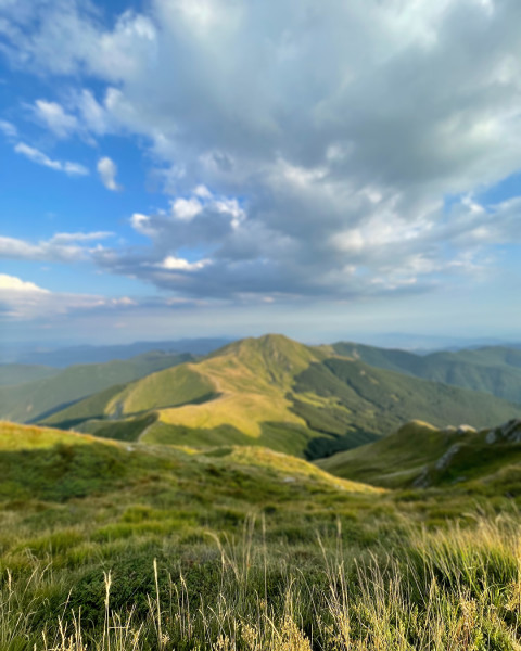 Nature Photoshop Editing Background Download Pic