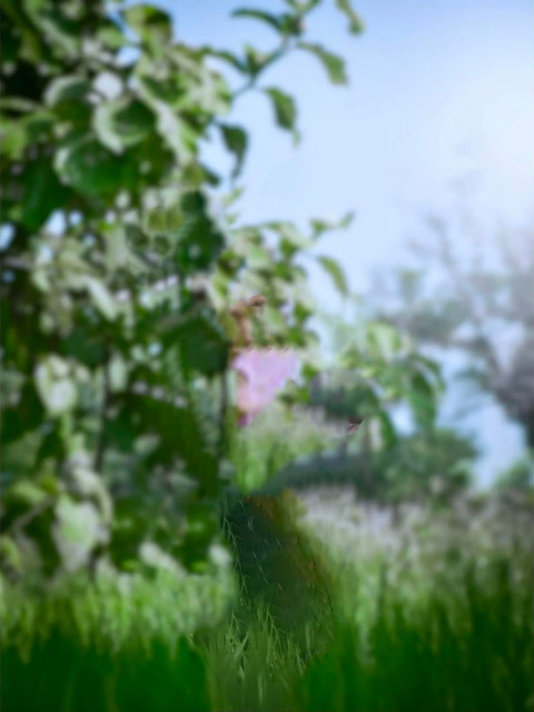 Nature Photoshop Editing Free Background Download Free