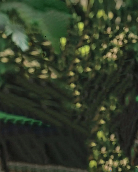 Nature Photoshop HD Background Full HD Download For Editing