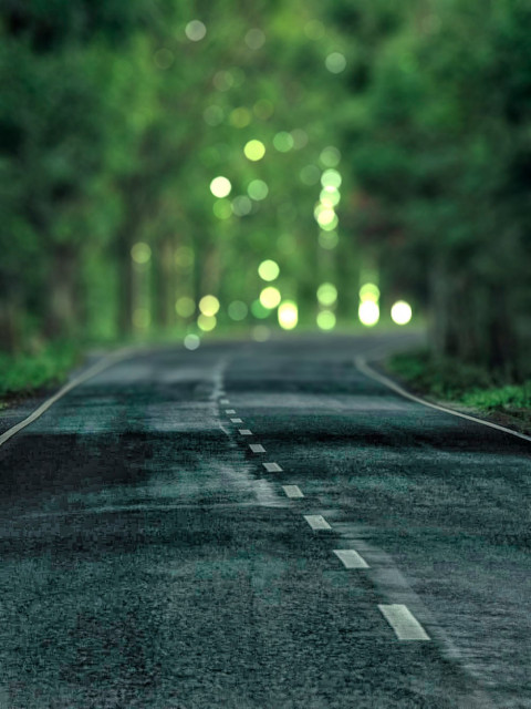 Nature Photoshop Photo Editing CB Background Download