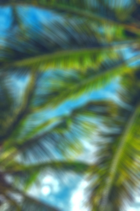 Nature Photoshop Photo Editing CB Background Download New