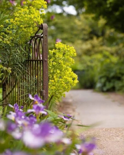 Nature PicsArt New Background Full HD Download