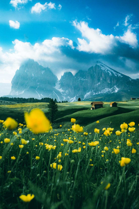 Nature Picsart Photo Editing New Background HD