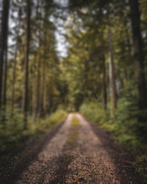 Nature Road Editing CB Picsart Blur Background Full HD