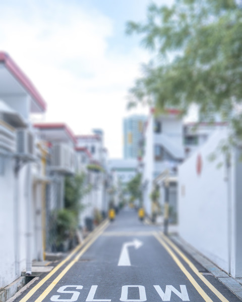 Nature Road Photo Editing CB Picsart Background