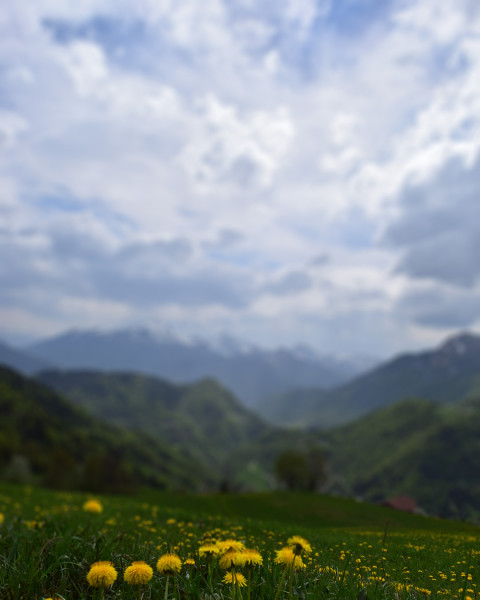 Nature Sky Photo Editing CB Picsart Background Download