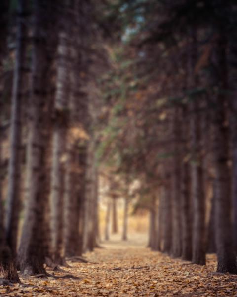 Nature Sky Photo Editing CB Picsart Background Download Full HD