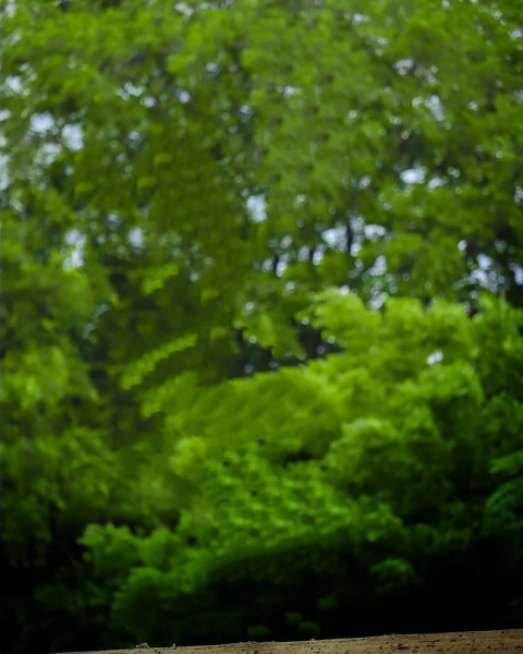 Nature Snapseed Background For Cb Picsart Editing