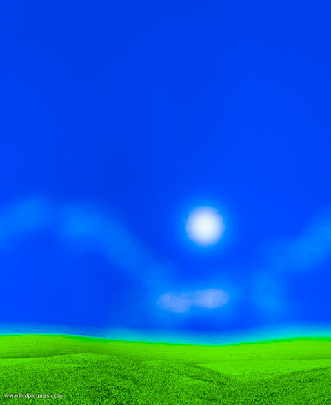 Nature Snapseed Blur Editing Background Download