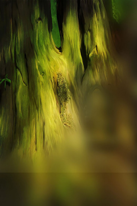Nature Studio Outdoor Background Download Free