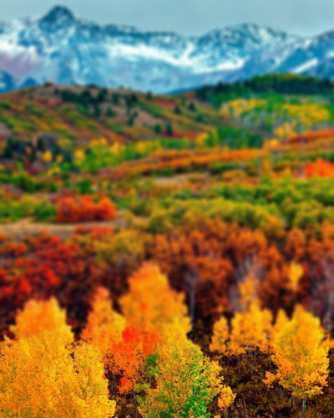 Nature Sunset Background For CB Picsart Photo Editing